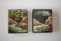 /album/imanes/imanes-madera-bolis-paisaj-fon-bl-jpg/